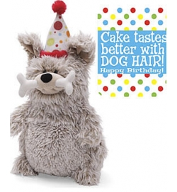 Gund "Cake Taste Better with Dog Hair " 14吋可愛生日派對小狗